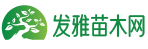 青伊湖绿化苗木种子合作社